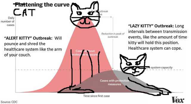 catteningthecurve2